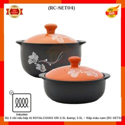 Bộ 2 nồi nấu bếp từ ROYALCOOKS ORI 2.5L & 3.5L – Nắp màu cam (RC-SET04)