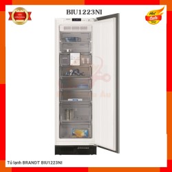Tủ lạnh BRANDT BIU1223NI