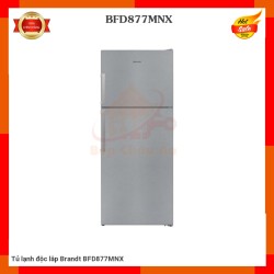 Tủ lạnh độc lâp Brandt BFD877MNX