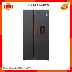 Tủ lạnh Electrolux ESE6141A-BVN