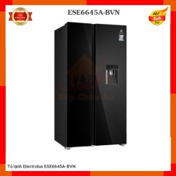 Tủ lạnh Electrolux ESE6645A-BVN